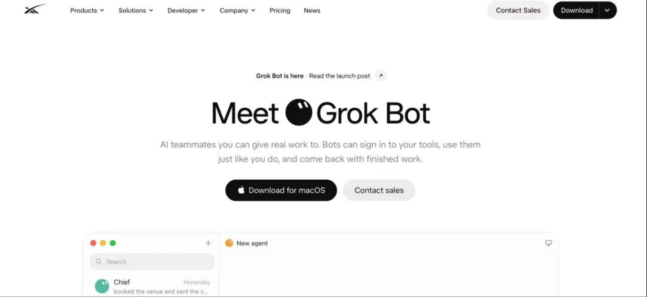The Meet Grok Bot landing page